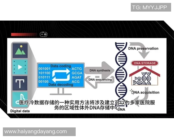 深入探讨赵磊的DOTA2成功秘诀与未来发展方向实时数据 深入探讨赵磊的DOTA2成功秘诀与未来发展方向实时数据